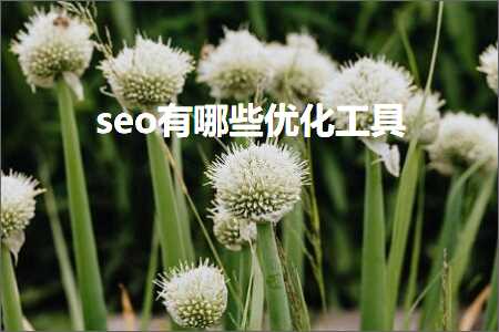 璺ㄥ鐢靛晢鐭ヨ瘑:seo鏈夊摢浜涗紭鍖栧伐鍏? width=